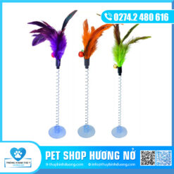 Cây vờn mèo lo xo