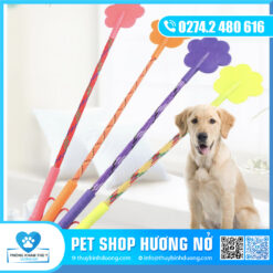 Cây huấn luyện chó