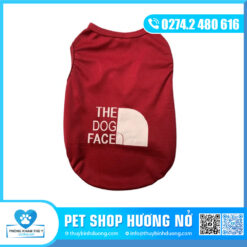 Áo thun mẫu mới số 5