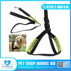 Dây đai Bêtô trung