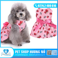 Áo đầm 4 mùa size S