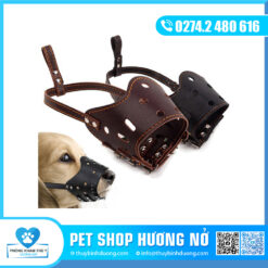 Khớp mỏ da lớn