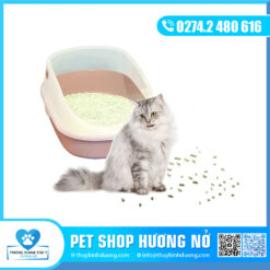 Khay vệ sinh mèo size trung
