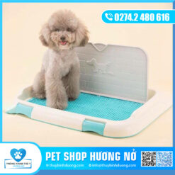 Khay vệ sinh có thành (chó cái) nhỏ