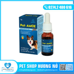 Amox uống
